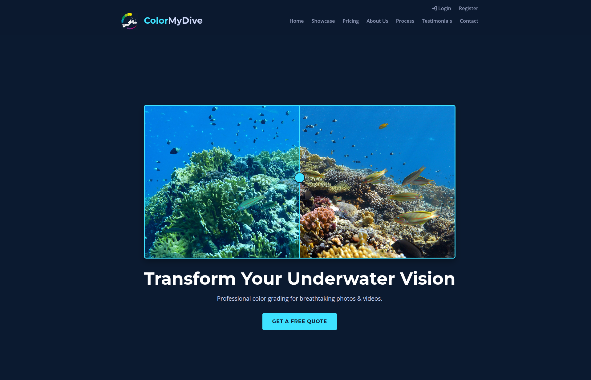 Underwater Photography